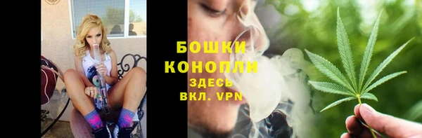 прущие крисы Белокуриха