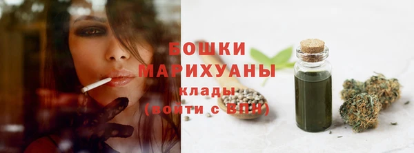 прущие крисы Белокуриха