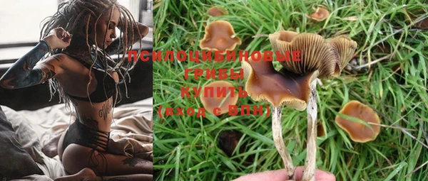 прущие крисы Белокуриха