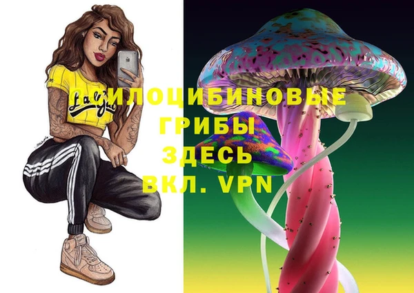 прущие крисы Белокуриха