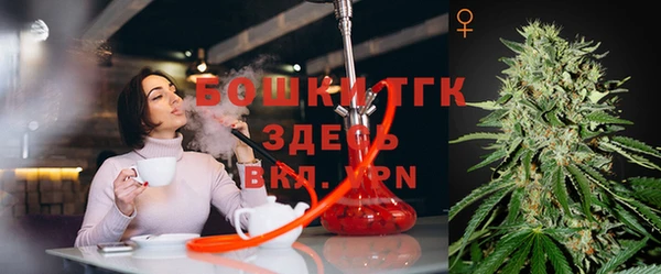 прущие крисы Белокуриха
